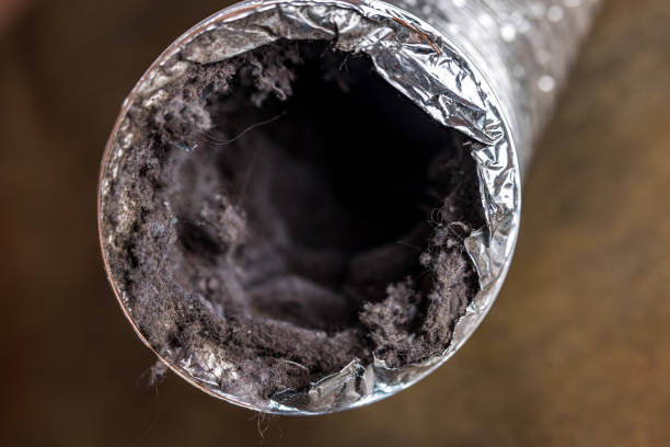 Best HVAC System Cleaning  in Goodwater, AL