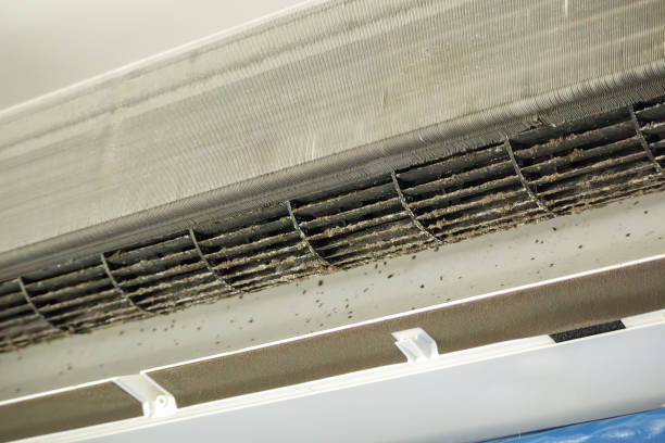 Best Professional Duct Cleaning Services  in Goodwater, AL